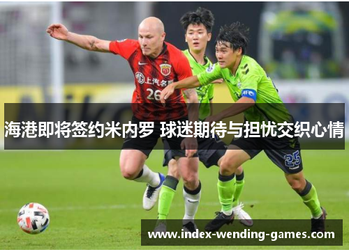 海港即将签约米内罗 球迷期待与担忧交织心情