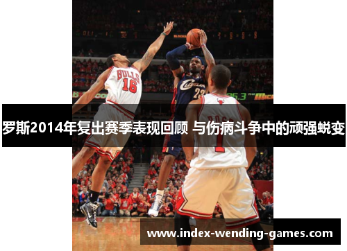 罗斯2014年复出赛季表现回顾 与伤病斗争中的顽强蜕变
