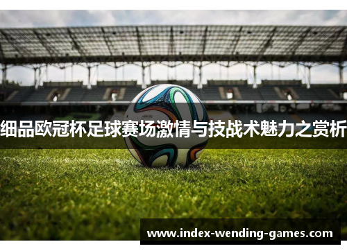 细品欧冠杯足球赛场激情与技战术魅力之赏析